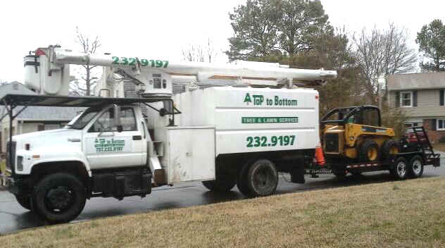 Virginia Beach Tree Service and all of Hampton Roads